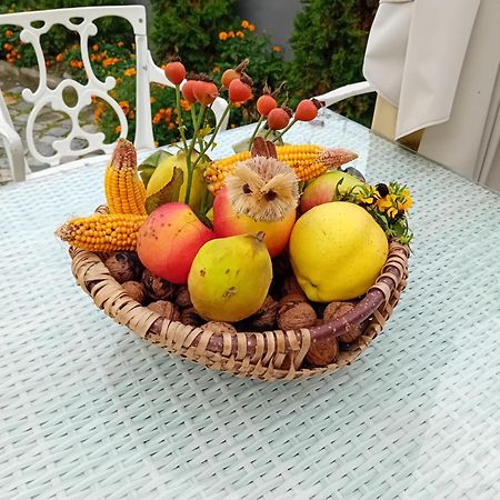 Casa Continentelor Otel Campulung Dış mekan fotoğraf