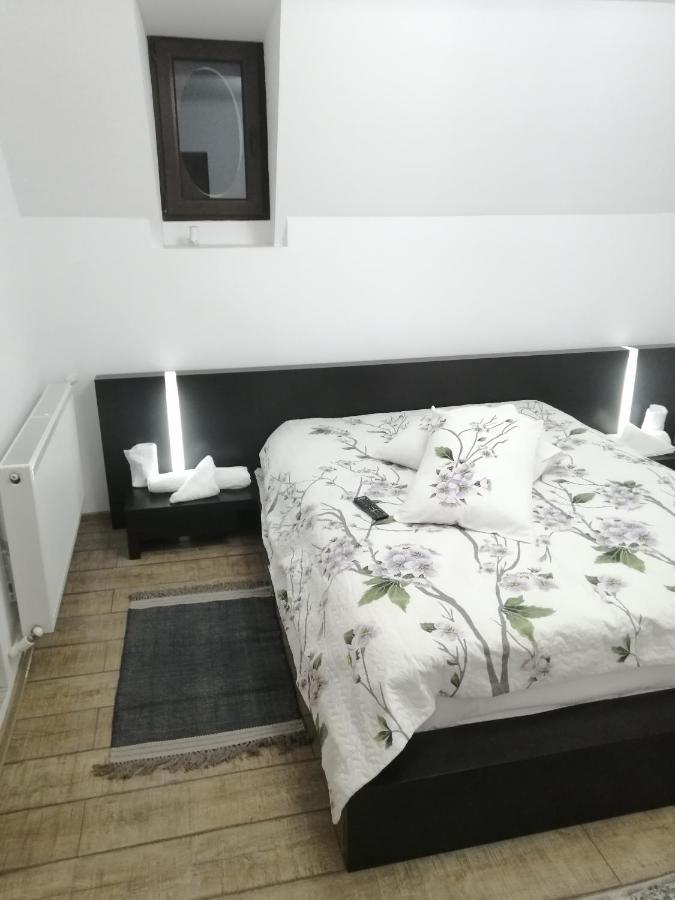 Casa Continentelor Otel Campulung Dış mekan fotoğraf