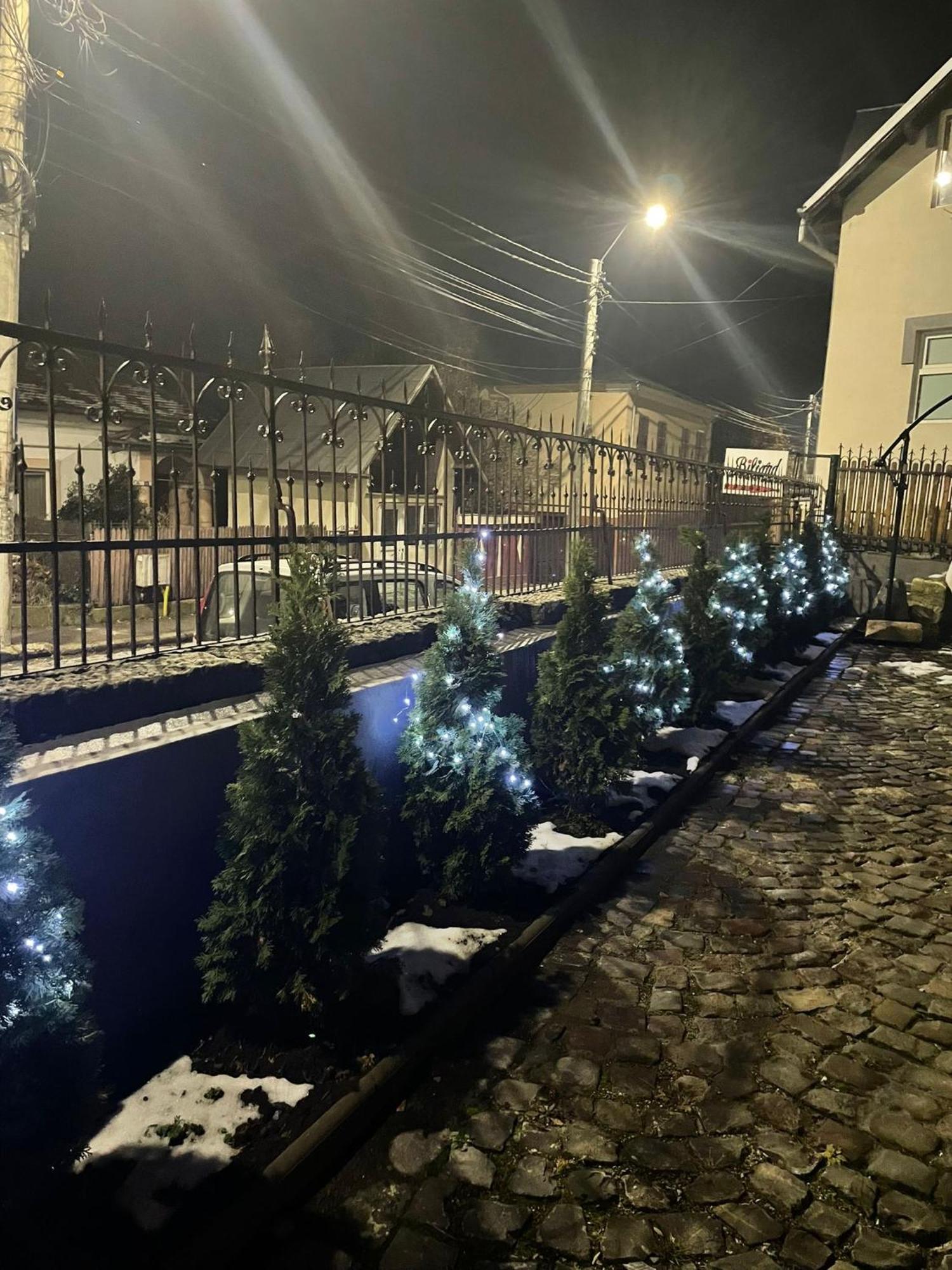 Casa Continentelor Otel Campulung Dış mekan fotoğraf