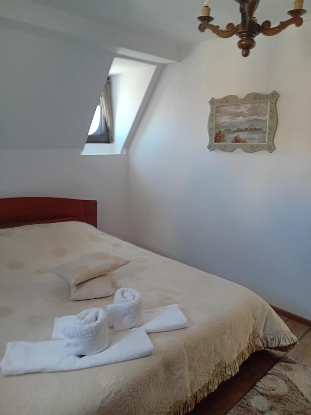 Casa Continentelor Otel Campulung Dış mekan fotoğraf